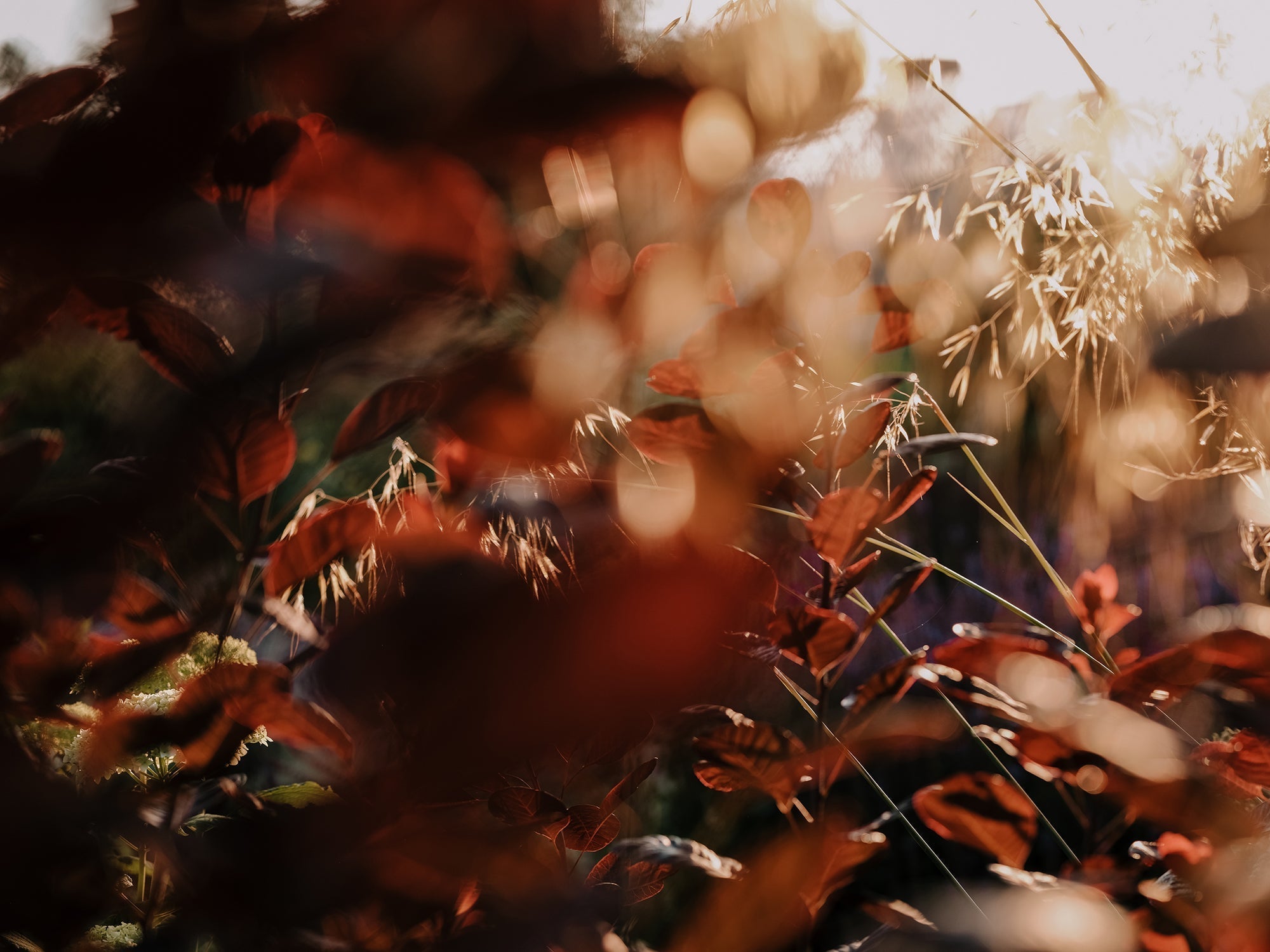 BALANCE: The Art of Spacious Living