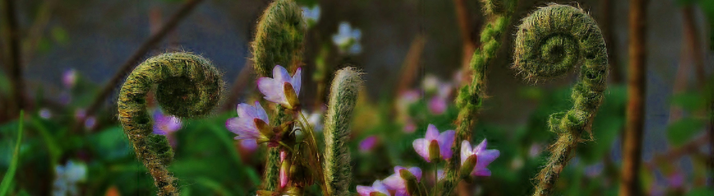 GROWTH: THE QUIET PATH TO BECOMING