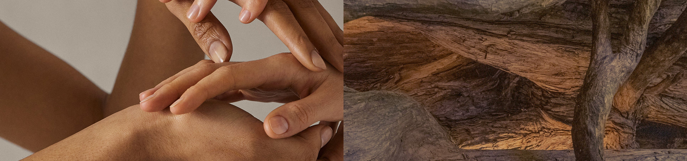 Rooted in Responsibility: Our 2024 Sustainability Journey