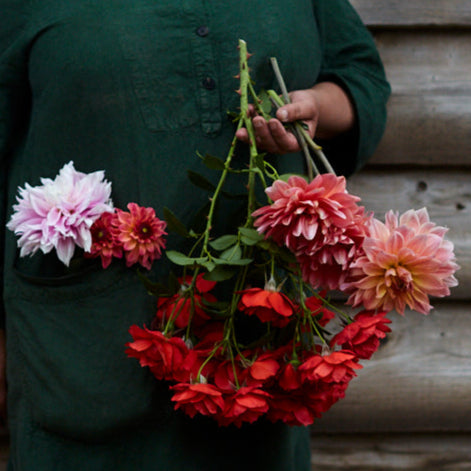 Welcoming the New Year in the Garden with Jane Scotter