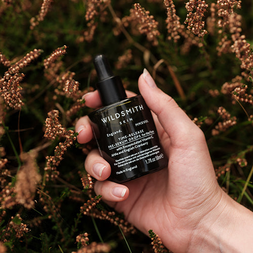 Rooted in Responsibility: Our 2024 Sustainability Journey