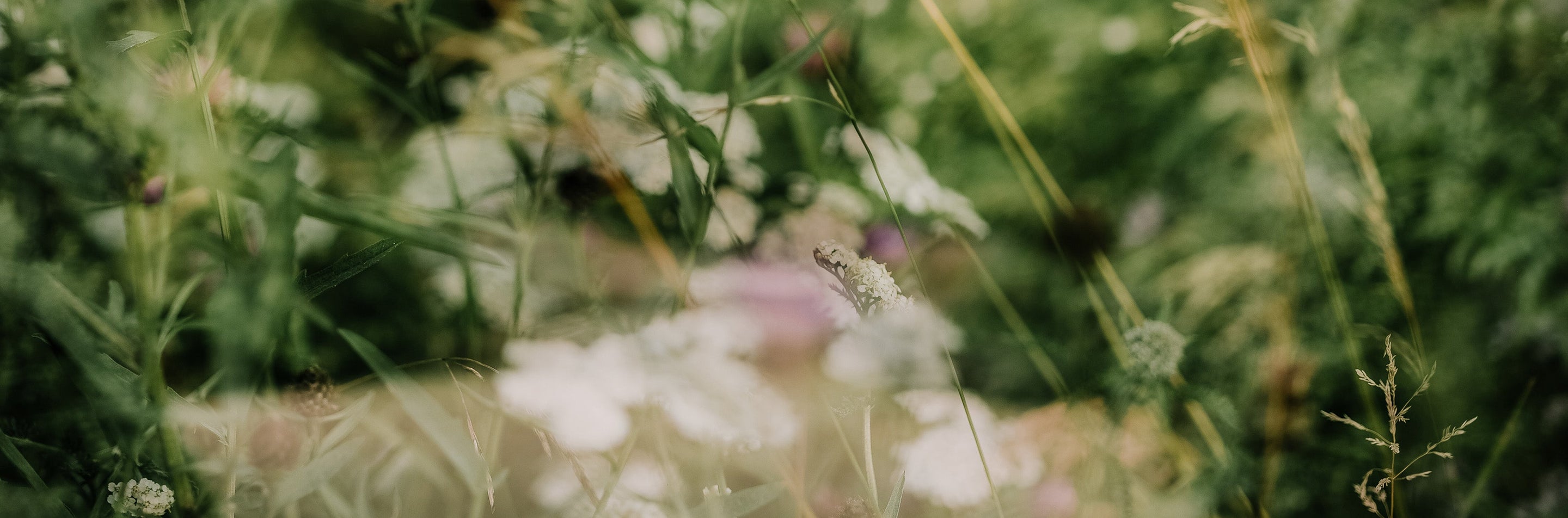 RELEASE: Using Nature to Reset and Calm Your Nervous System