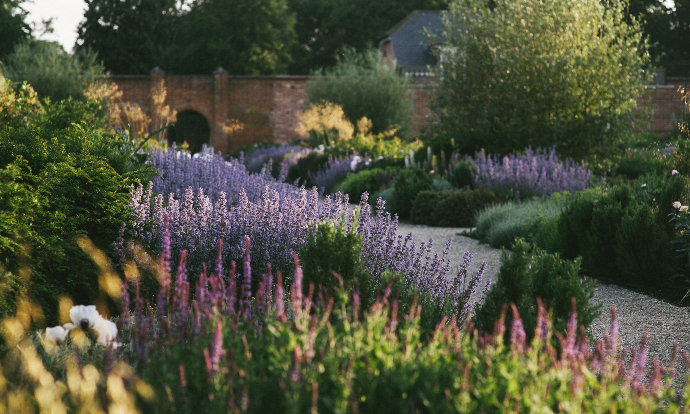 Transitional Skincare