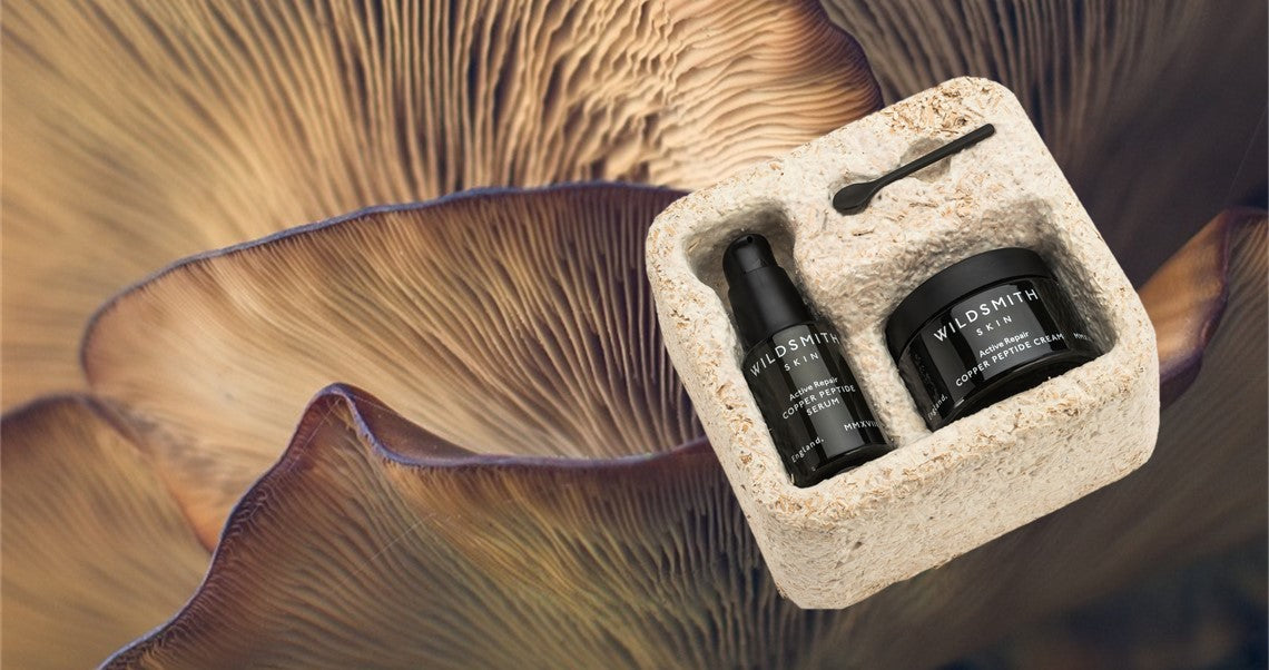 INTRODUCING MYCELIUM PACKAGING: CAN THE ANSWER TO THE WORLD’S PACKAGING CRISIS BE FOUND IN FUNGI?