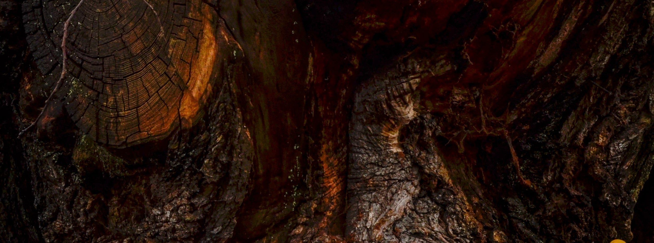 TREESCAPE